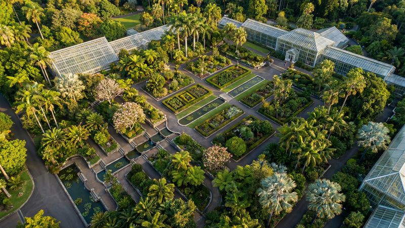 高清3D动漫植物园视频